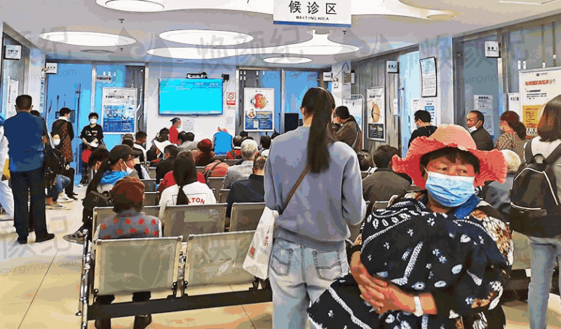 何玉清的任职经历和荣誉成就，如何推动大理爱尔眼科医院的发展？探索她的贡献与影响力！