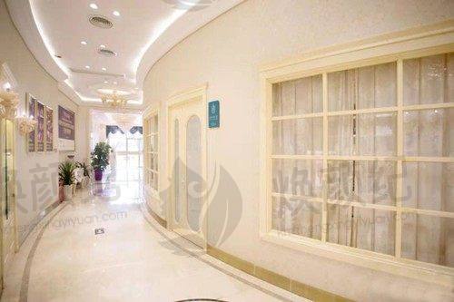 四、汤星星医生坐诊哪个医院？