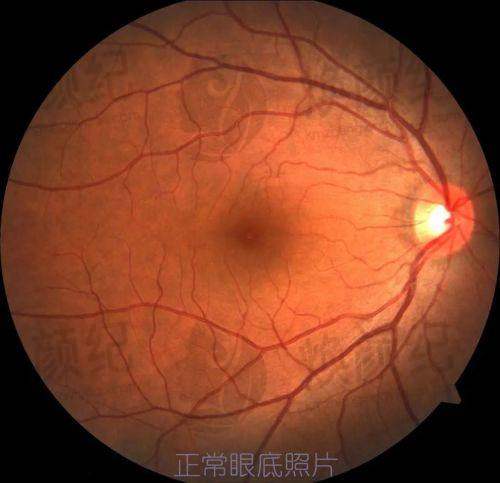 八、于澎医生眼科费用一览表