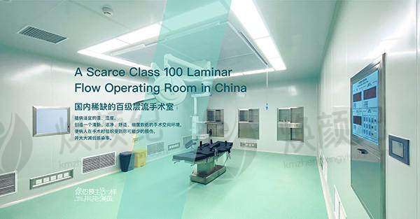 刘晓光的成就与简历揭秘：沈阳北方整形外科医院的医美专家，如何影响行业发展？